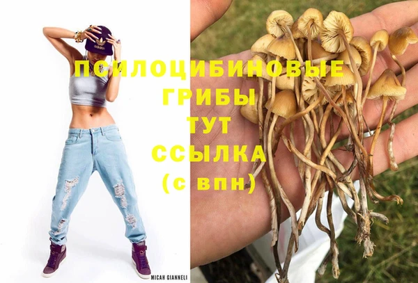 кокс Осинники