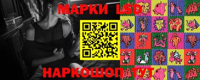 ешки Гай