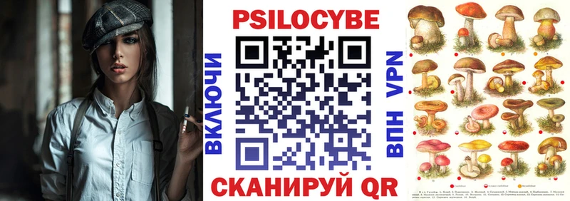Псилоцибиновые грибы Psilocybe Лысьва
