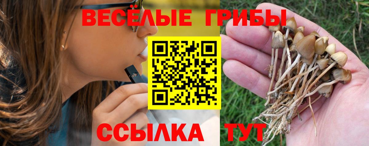 Псилоцибиновые грибы ЛСД  Вход с VPN  Галлюциногенные грибы Psilocybine cubensis  Лысьва 